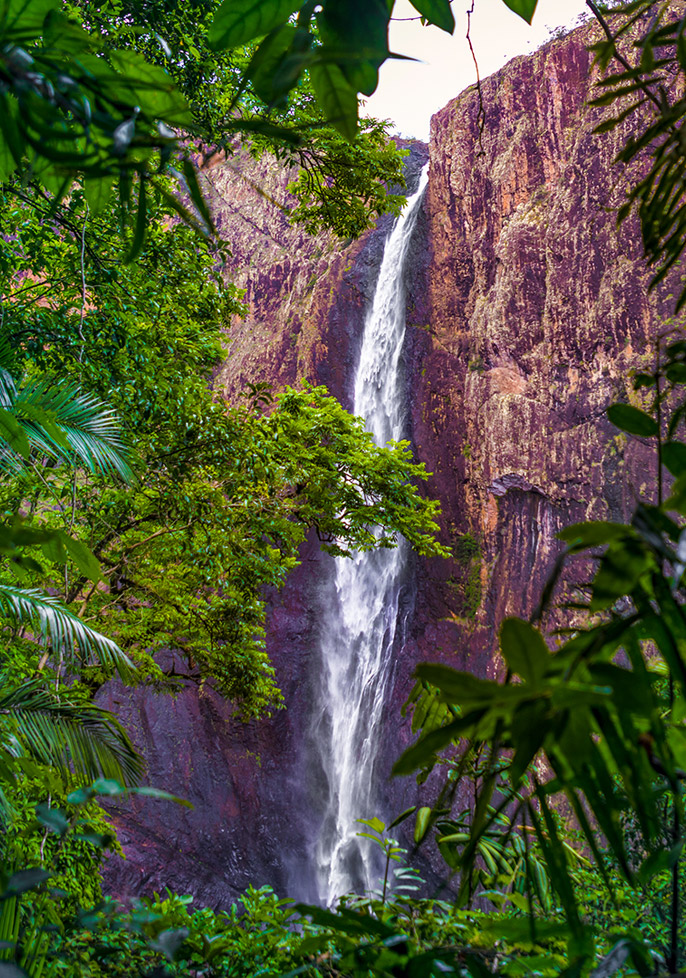 Chasing waterfalls through lush rainforest
